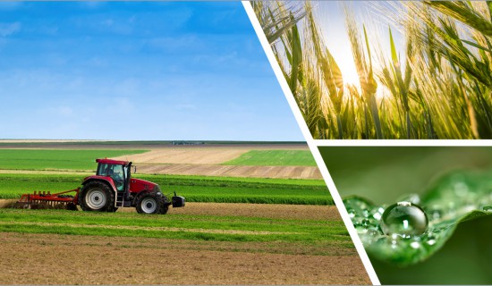 Phytosanitaires & intermédiaires pour l'agrochimie
